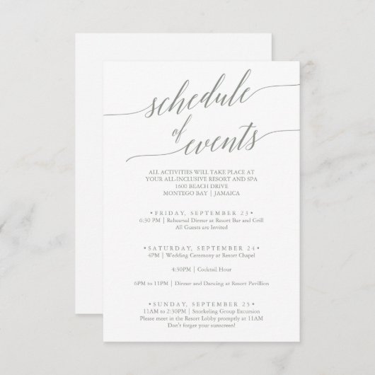 Elegant Sage Green Wedding Schedule of Events Informatiekaartje (Voorkant / Achterkant)