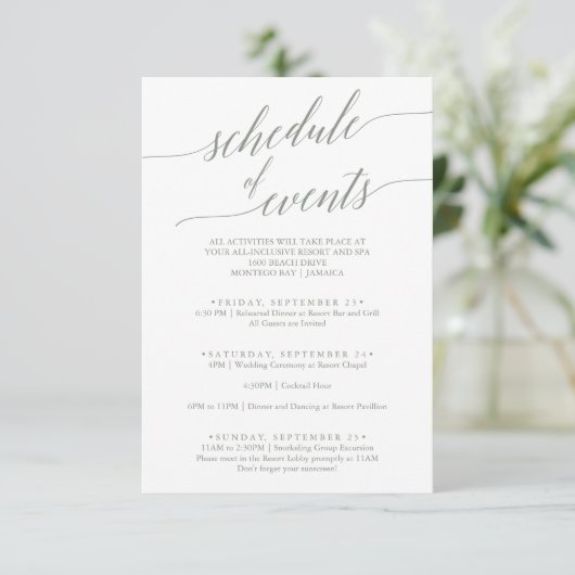 Elegant Sage Green Wedding Schedule of Events Informatiekaartje (Staand voorkant)