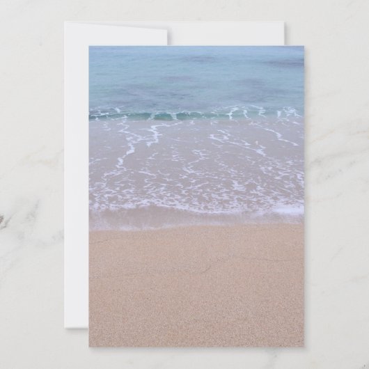 Elegant Sand Dollar Beach Wedding Invitations Kaart (Achterkant)