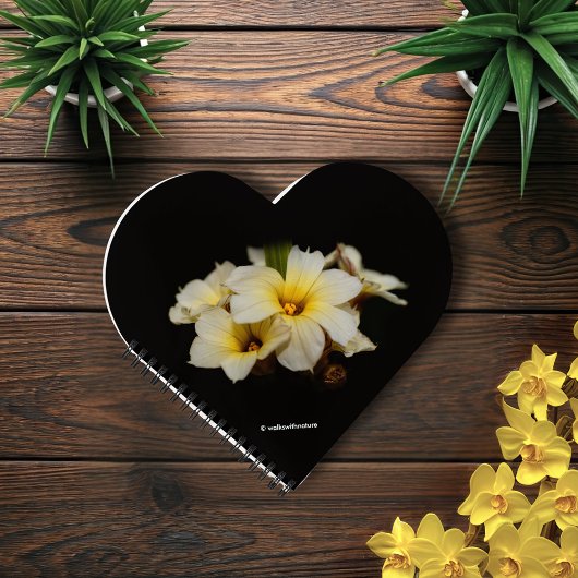 Elegant Satin Flowers op Black Notitieboek