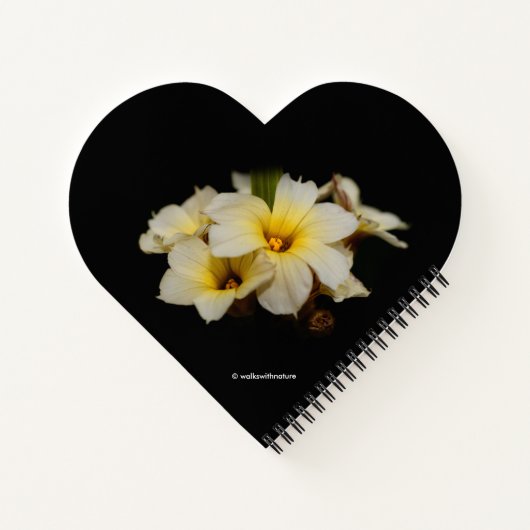 Elegant Satin Flowers op Black Notitieboek (Achterkant)