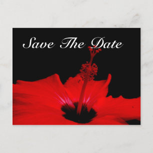 Elegant Save the Date Post Kaart