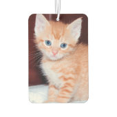 Elegant Script Monogram Bleek Lavender Cat Foto Luchtverfrisser (Achterkant)