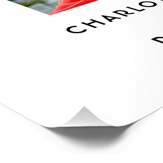 Elegant Script Multi Photo Afstuderen Afstuderen Perfect Poster (Hoek)