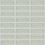 Elegant Script Sage Green Wedding Guest Address Sticker<br><div class="desc">Moderne Elegant Script Sage Green and White Minimalist Wedding Guest Name Address custom personalized Labels Stickers on sage green or dusty olive green background. De gastnaam wordt geschreven in een Zwiry krullend handgeschreven swash doopvontmanuscript van de staart. Dit heeft 24 stickers.</div>