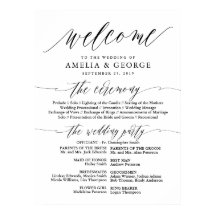 Elegant Script Typografie