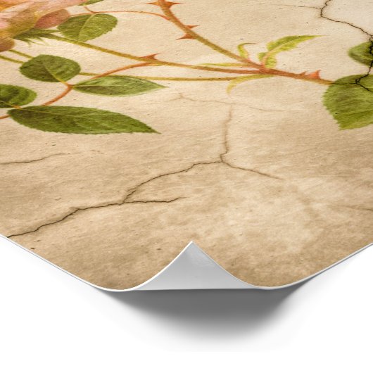 Elegant Shabby Bleek Roze Rozen Poster (Hoek)