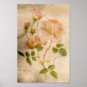 Elegant Shabby Bleek Roze Rozen Poster