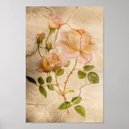  Elegant Shabby Bleek Roze Rozen Poster (Voorkant)