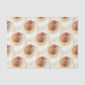 Elegant Shell Pattern Tissuepapier (Voorkant)