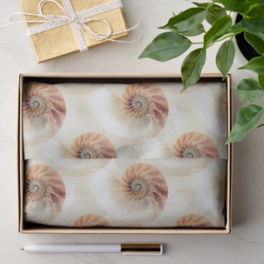 Elegant Shell Pattern Tissuepapier (Geschenk)