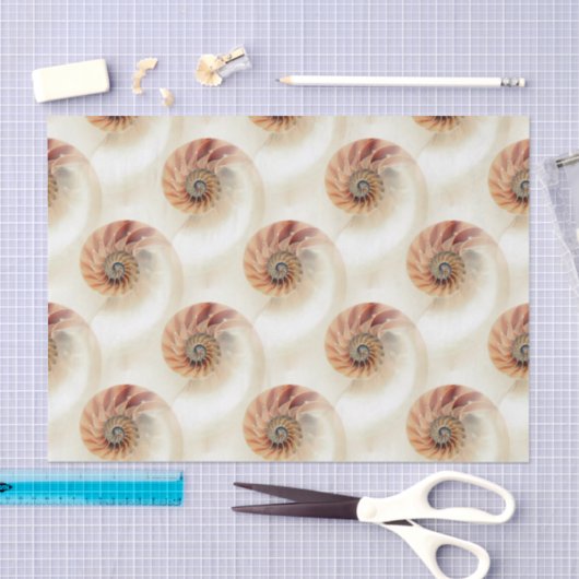Elegant Shell Pattern Tissuepapier (Craft)