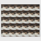 Elegant Siamese Cat Cadeaupapier (Vlak)