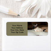 Elegant Siamese Cat Etiket (Insitu)
