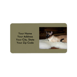 Elegant Siamese Cat Etiket