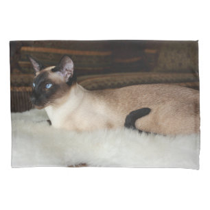 Elegant Siamese Cat Kussensloop
