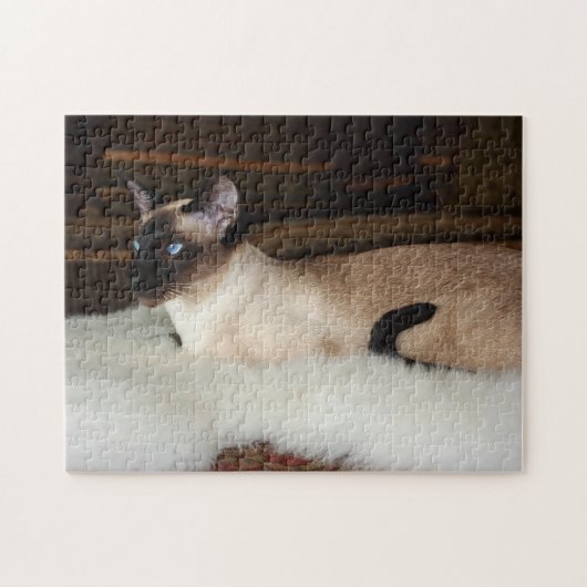 Elegant Siamese Cat Legpuzzel (Horizontaal)