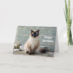 Elegant Siamese Cat Photo Birthday Card Kaart