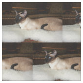 Elegant Siamese Cat Stof (Close Up)