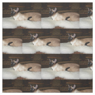 Elegant Siamese Cat Stof