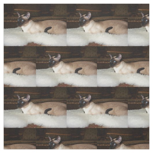 Elegant Siamese Cat Stof (Swatch)