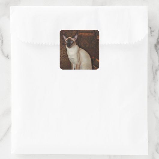 Elegant Siamese Cat Vierkante Sticker (Tas)