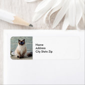 Elegant Siamese Kat-fotolabel Etiket (Insitu)