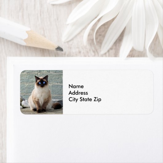 Elegant Siamese Kat-fotolabel Etiket (Insitu)