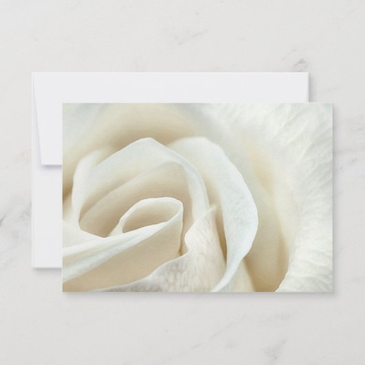 Elegant Silver Ivory Pearl Roos Wedding RSVP Kaart (Achterkant)