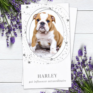 Elegant Silver Stars Aangepaste Foto QR Sociale Me Visitekaartje