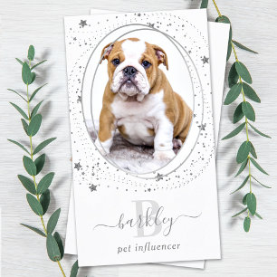 Elegant Silver Stars Foto Social Media Monogram Visitekaartje