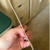 Elegant Simple Blue Roses Love is in Bloom Wedding Kaart