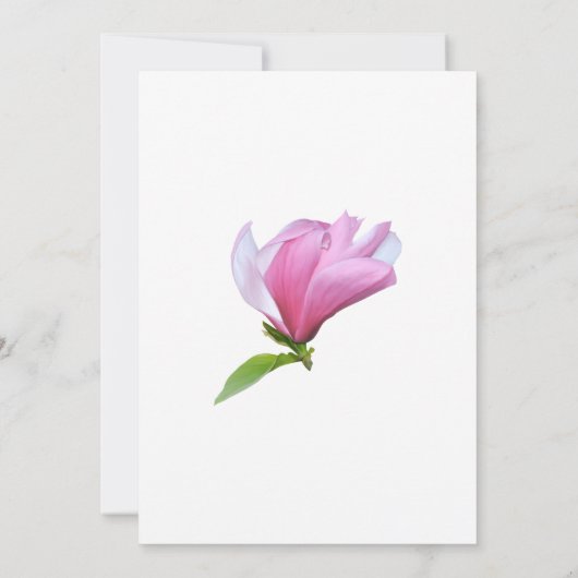 Elegant Simple Flower, Magnolia Vrijgezellenfeest Kaart (Achterkant)