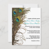 Elegant Simple Peacock Feathers Weddenschap Kaart (Voorkant)