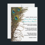 Elegant Simple Peacock Feathers Weddenschap Kaart<br><div class="desc">Wij willen u graag voorzien van een eenvoudig, elegant maar toch modern design met pauwenveren voor uw aankomende huwelijk. Alle standaardtekst kan volledig worden aangepast met uw eigen formuleringen en u kunt ook de lettertypen, formaten, tekstplaatsing en kleuren van de tekst wijzigen. Als u alleen de tekst wilt wijzigen, gebruikt...</div>