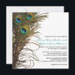 Elegant Simple Peacock Feathers Weddenschap Kaart<br><div class="desc">Wij willen u een eenvoudig, elegant maar modern design bieden met pauw-veren voor uw toekomstige nuptiaal. Alle standaardtekst kan volledig met uw eigen formuleringen worden aangepast, en u kunt de doopvonten, de grootte, de tekstplaatsing & de kleuren van de tekst ook veranderen. Om de tekst te veranderen slechts, gebruik personaliseren...</div>
