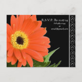 Elegant Sinaasappel Gerber Daisy Wedding Invitatio Uitnodiging Briefkaart (Achterkant)