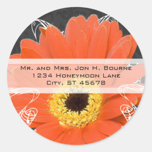 Elegant Sinaasappel Gerber Daisy Wedding Ronde Sticker
