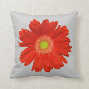 Elegant Sinaasappel Gerbera Daisy Sierkussen