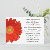 Elegant Sinaasappel Gerbera Daisy Wedding Invitati Kaart (Staand voorkant)