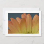 Elegant Sinaasappel Petal Custom Invitation Kaart (Voorkant)