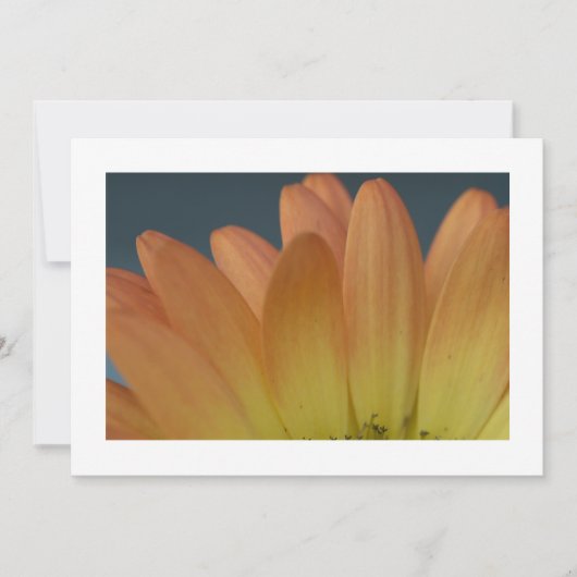 Elegant Sinaasappel Petal Custom Invitation Kaart (Voorkant)