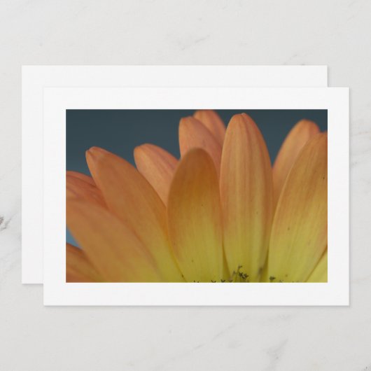 Elegant Sinaasappel Petal Custom Invitation Kaart (Voorkant / Achterkant)