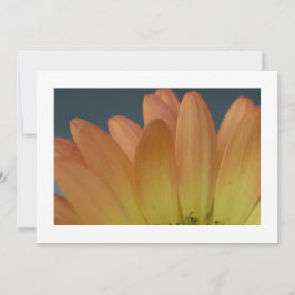 Elegant Sinaasappel Petal Custom Invitation Kaart