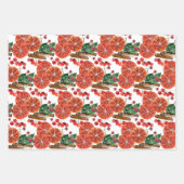 Elegant Sinaasappels Slices Cinnamon Sticks Inpakpapier Vel (Voorkant 2)