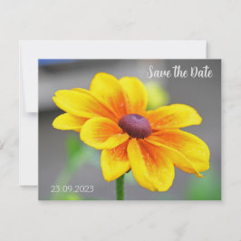 Elegant Single Yellow Oranje Dahlia Flower Save Feestdagenkaart