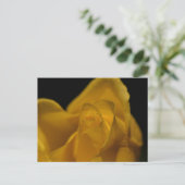 Elegant Single Yellow Rose close up Feestdagenkaart (Staand voorkant)