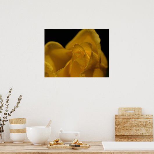 Elegant Single Yellow Rose close up Poster (Keuken)