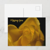 Elegant Single Yellow Rose sluit je op als je je n Feestdagenkaart (Voorkant / Achterkant)