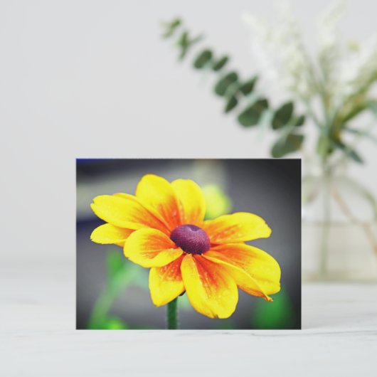 Elegant Single Yellow Sinaasappel Dahlia Flower Feestdagenkaart (Staand voorkant)